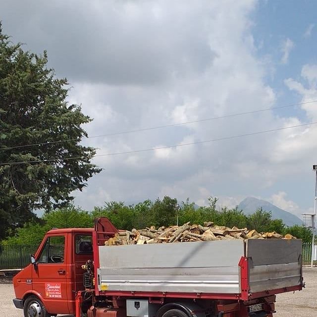 Pppppppppp | Massimo Verdicchio