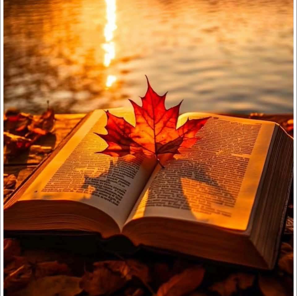 Bonjour, passez une excellente journée 😉 🫶 | Facebook