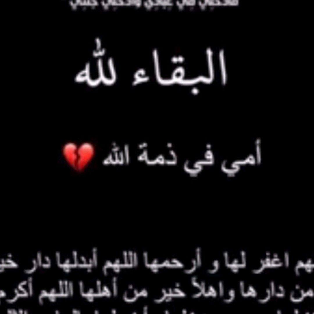 محمد شوكت للتسوق المنزلي on Reels