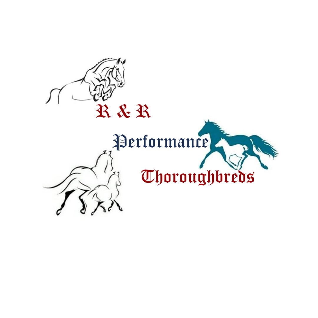R & R Performance Thoroughbreds