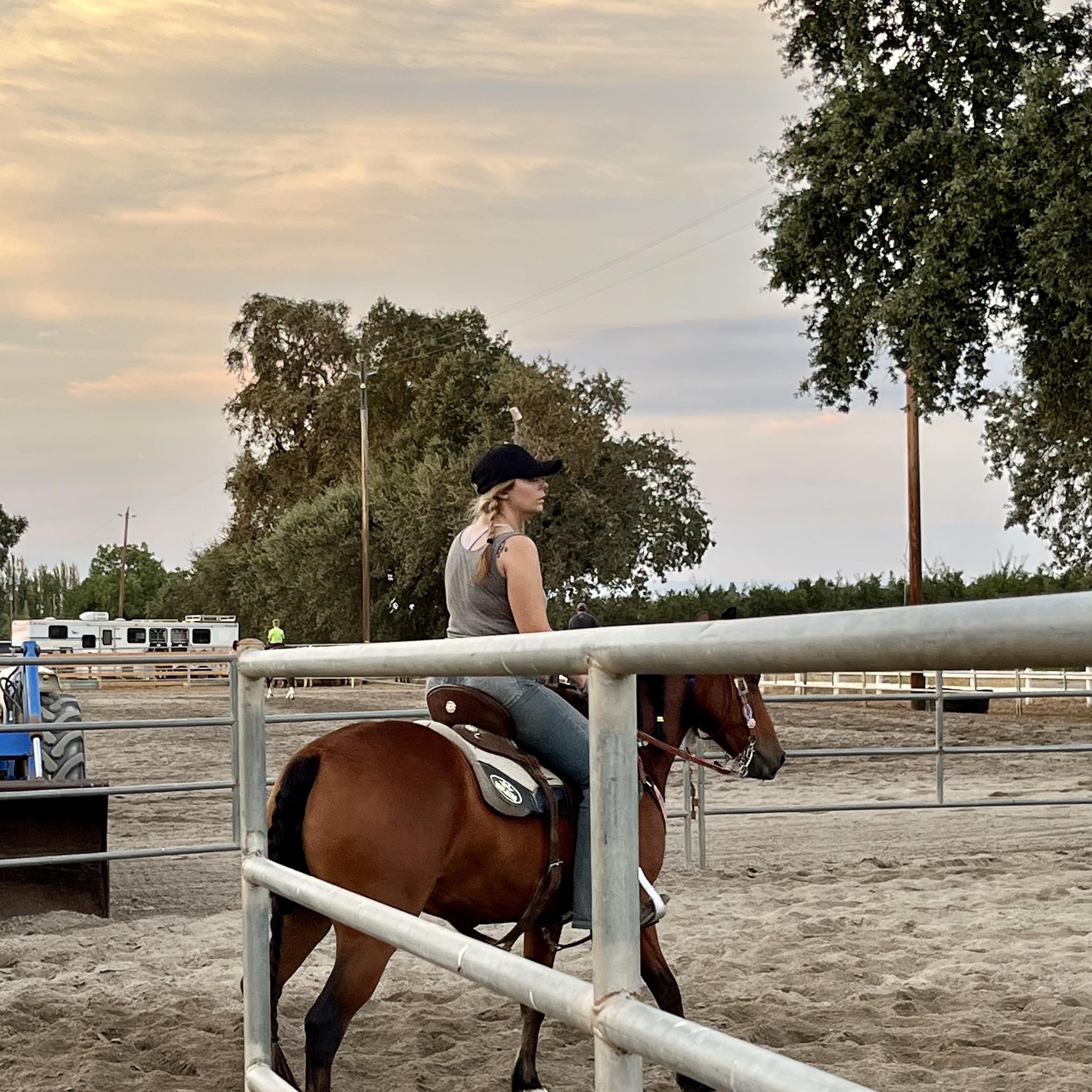Horses for sale in Northern California | looking for a cheap horse ...