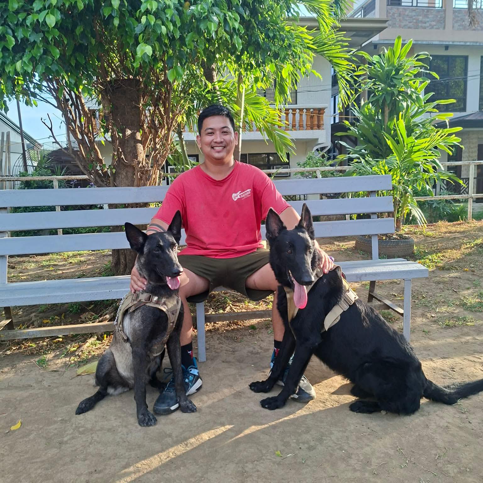 short stream lang par | Clinkz