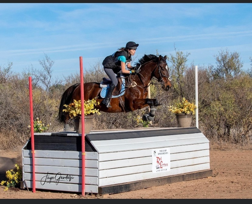 Equistar School of Riding | Phoenix AZ