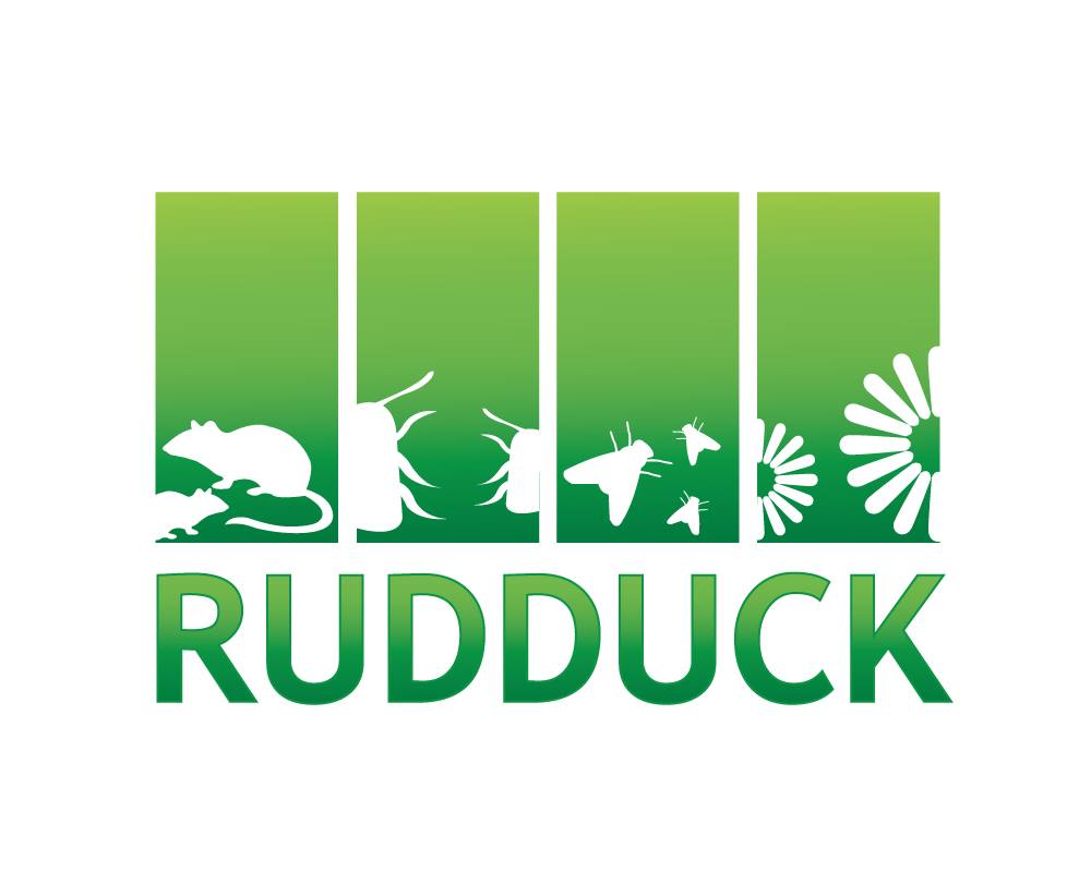 Rudduck