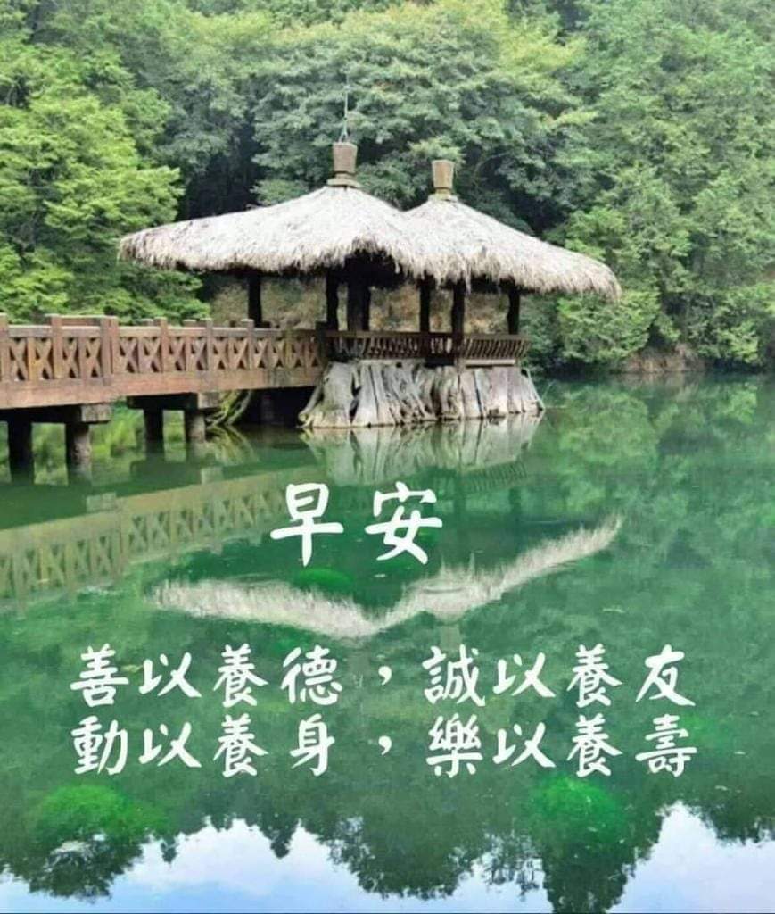 不同意，請臭罵！ | Facebook