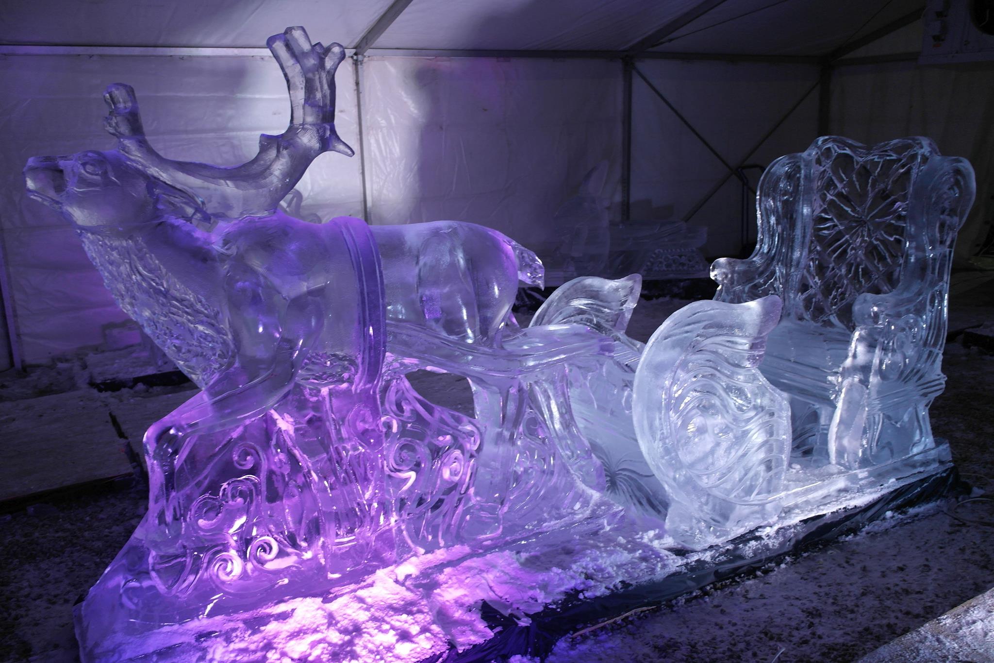 Ice Team Robert Burkat