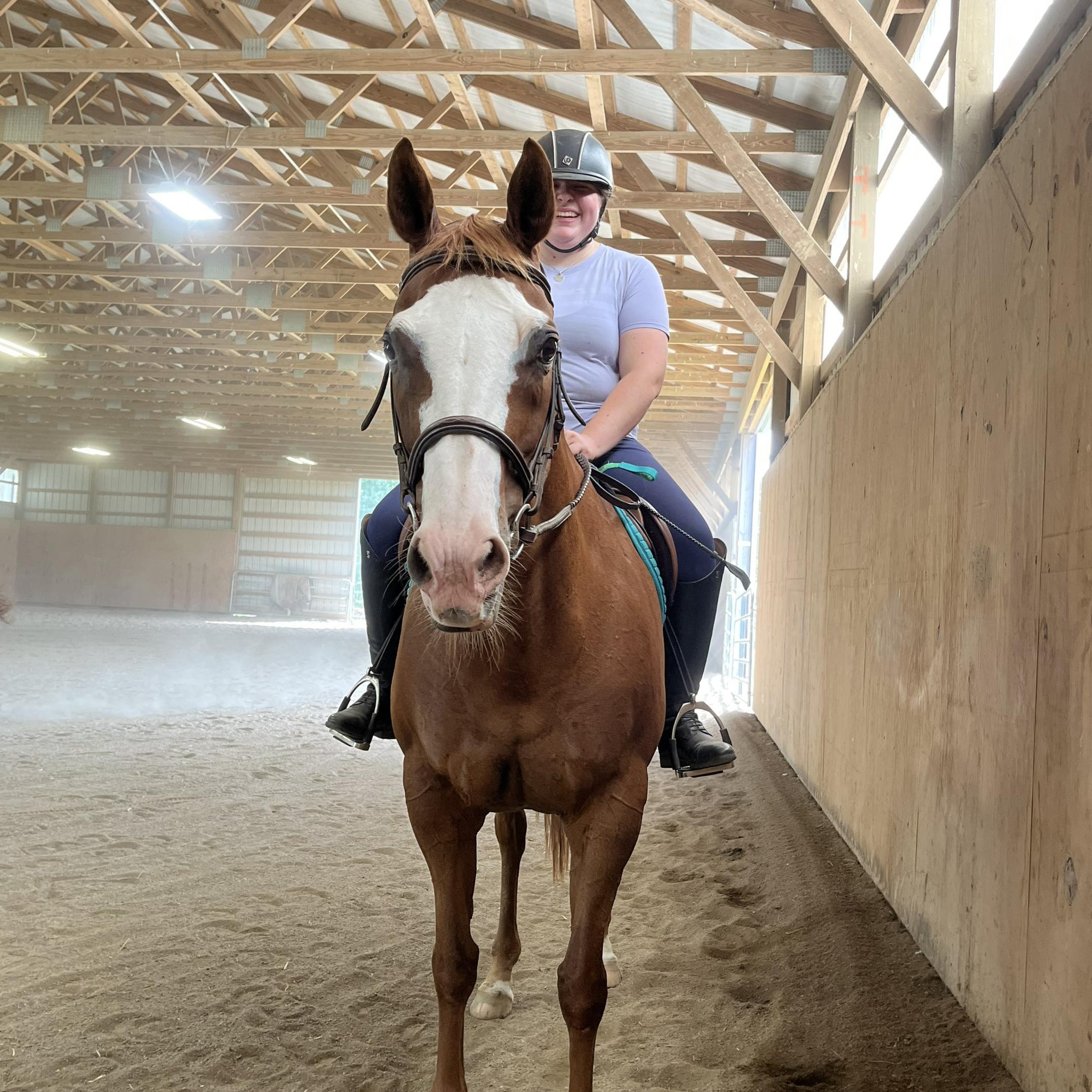 Commotion! Consignment Riding Apparel | Who needs practice/work jods ...