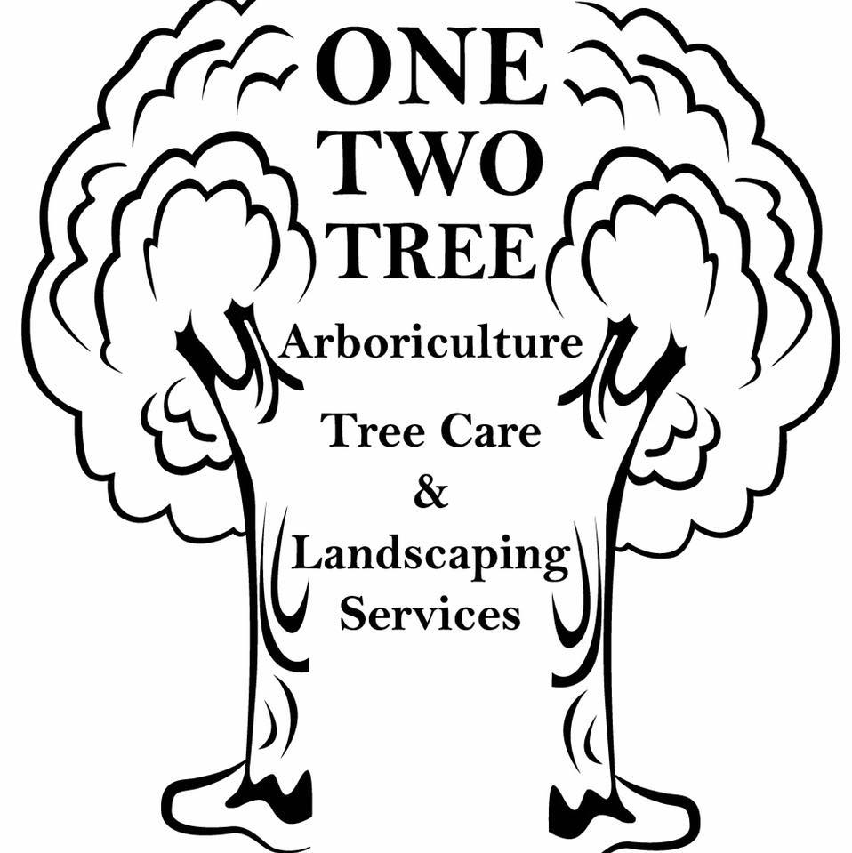 One, Two, Tree Arboriculture | Chesterfield