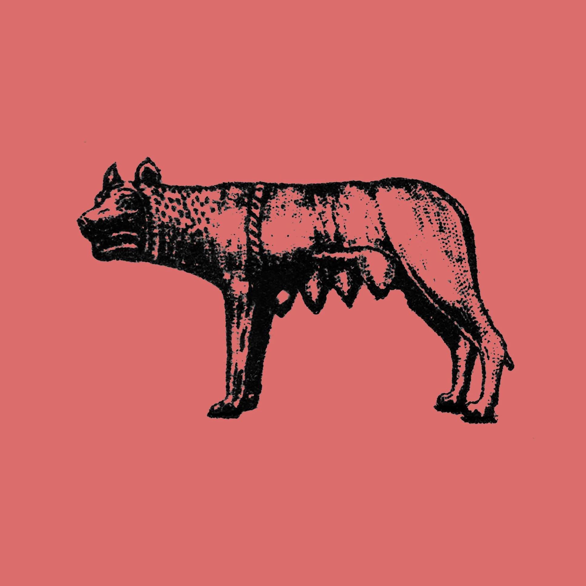 Luperca | Ciudad Juárez