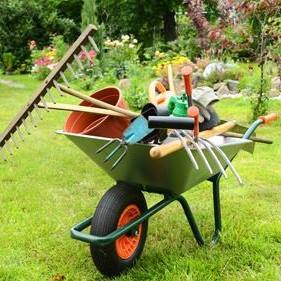Wilson Tree Care and Garden Maintenance | Chester