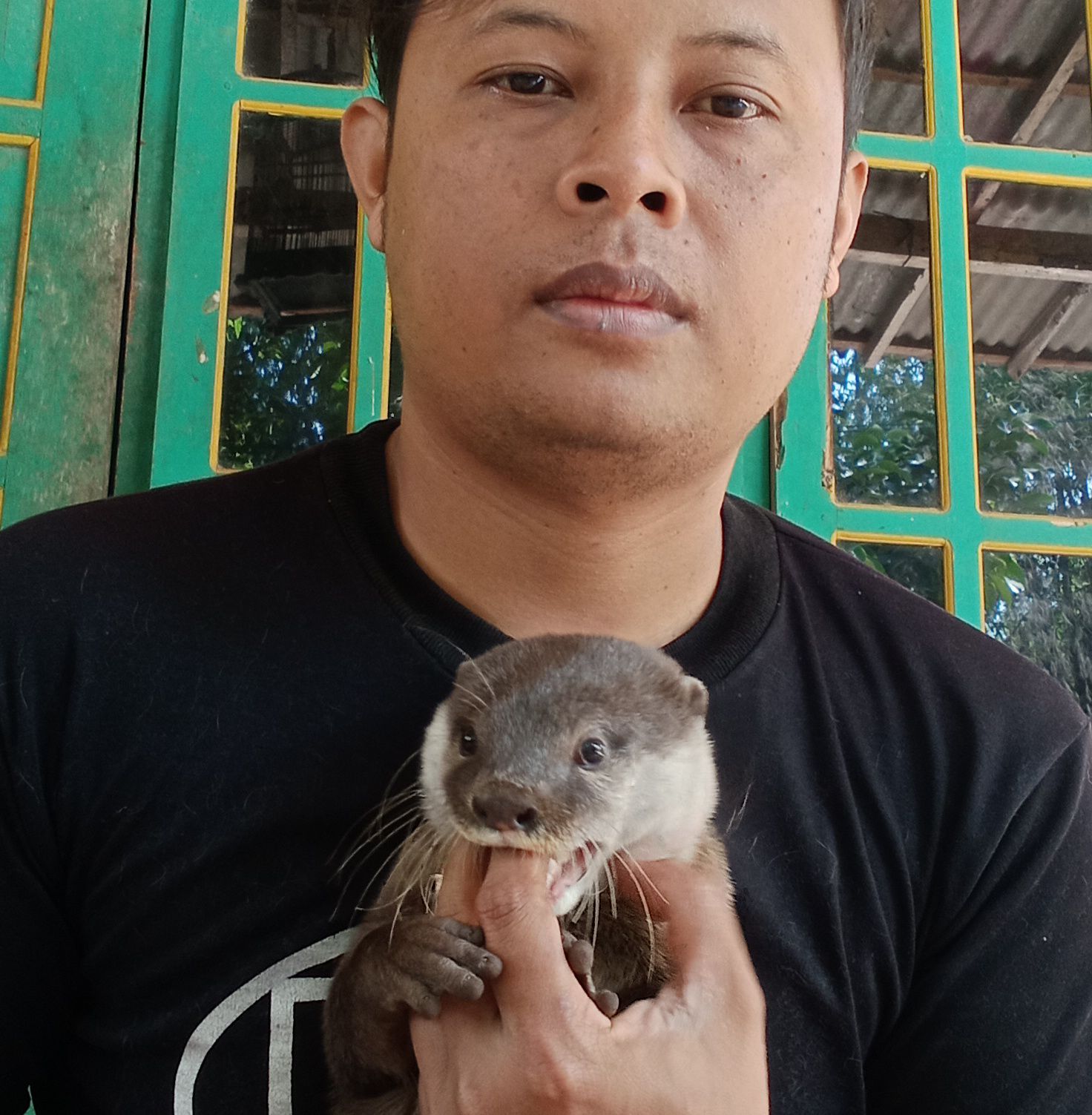 OTTER (BERANG - BERANG PERBAUNGAN) | pasukan wergul | Facebook