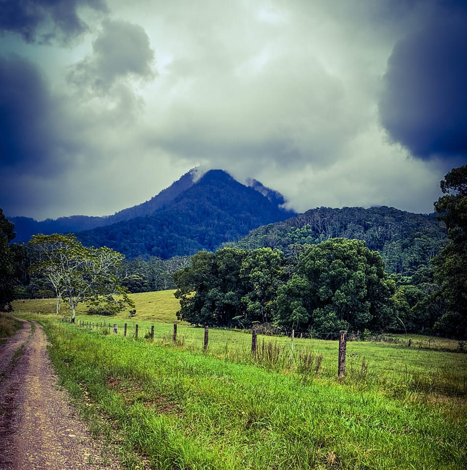 Dorrigo Rangers Rugby Club | Dorrigo NSW