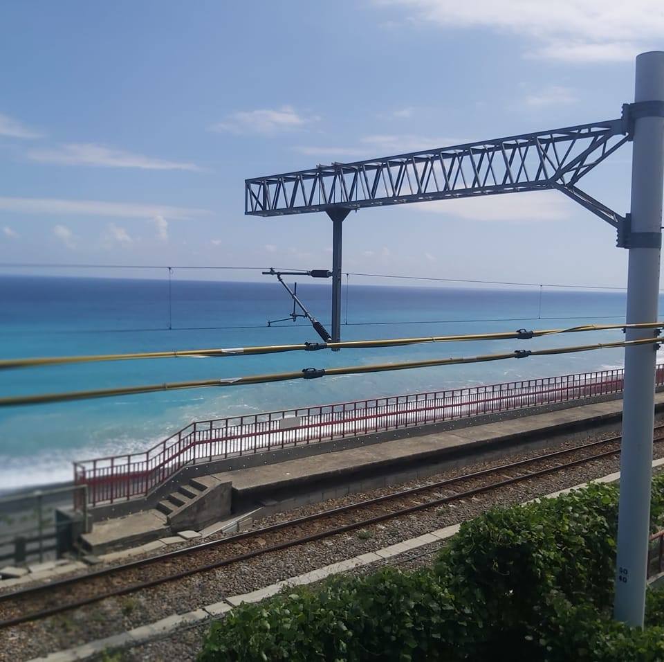 葉流連