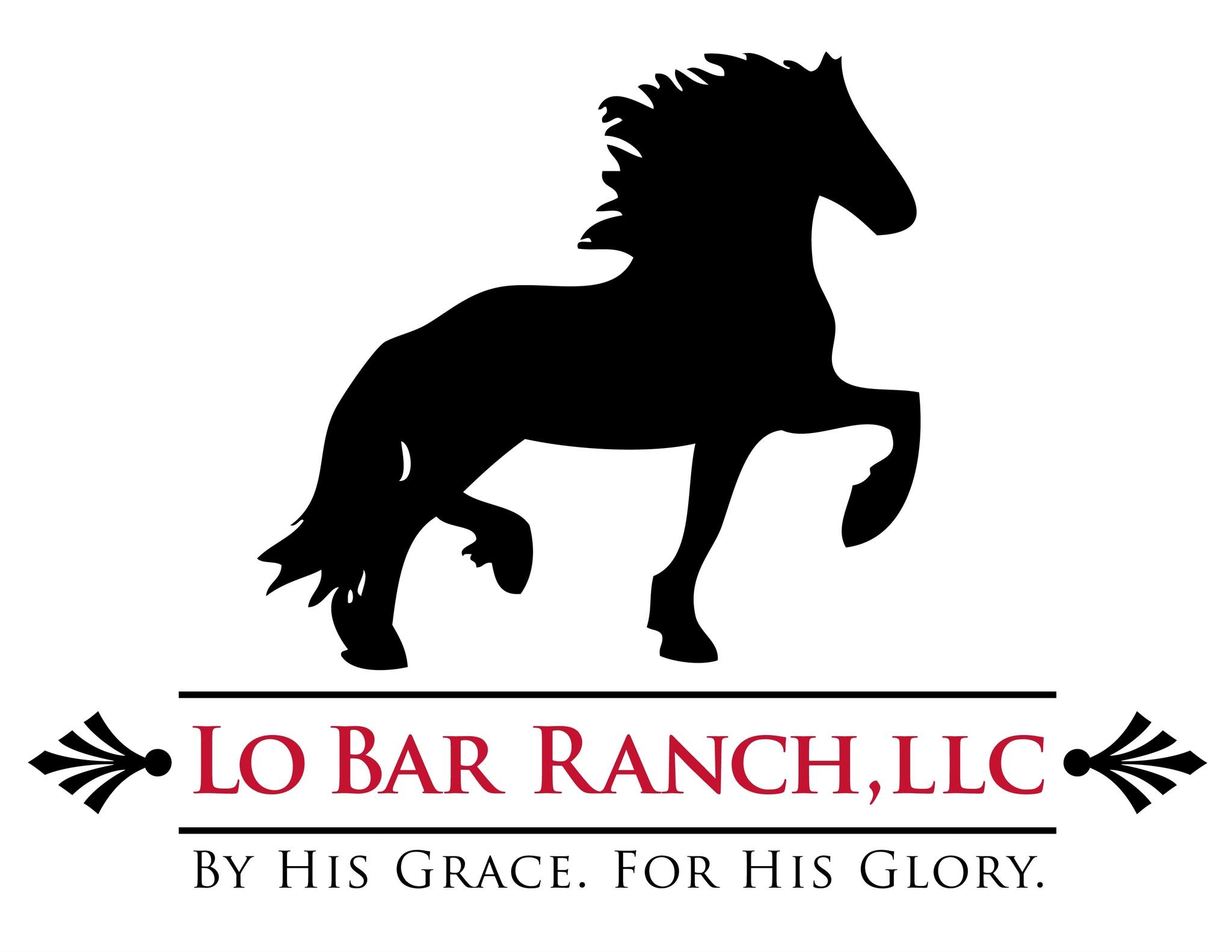 Lo Bar Ranch LLC | Wisconsin Dells WI