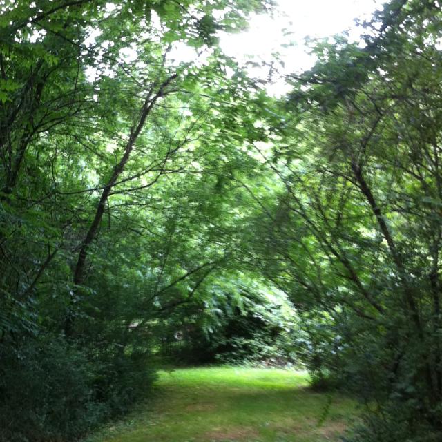 George Carlin Memorial Path | Flintstone GA