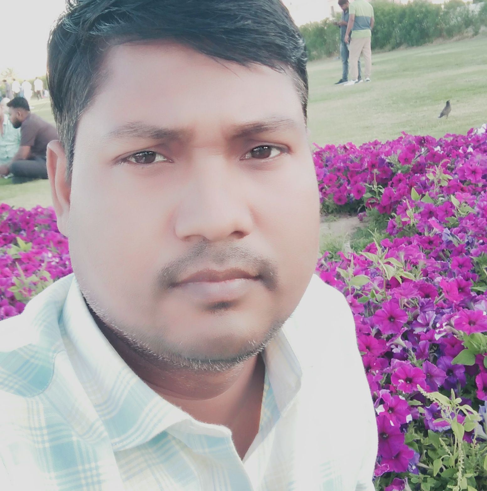 Md Istiyaque