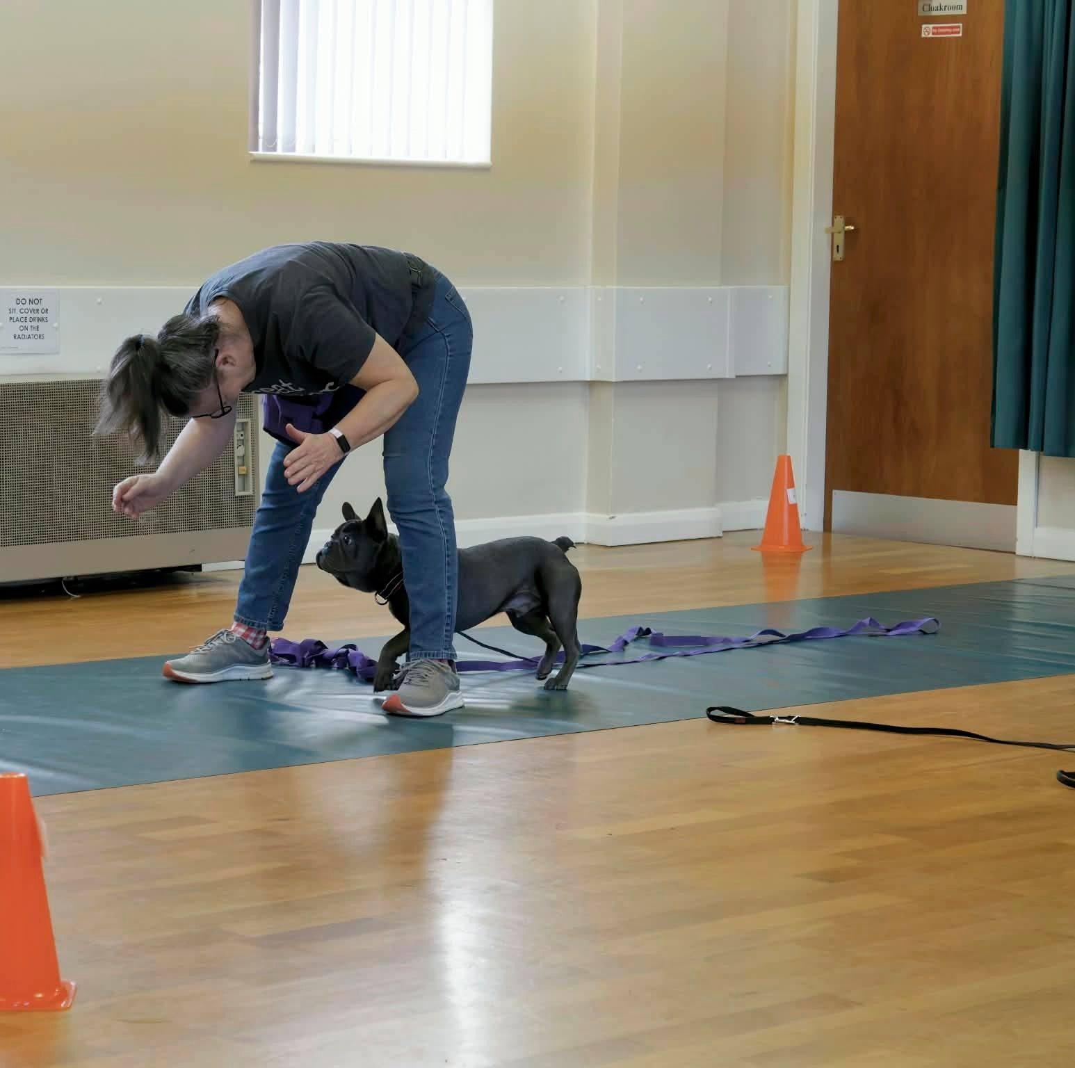 Talking Tails Dog Training