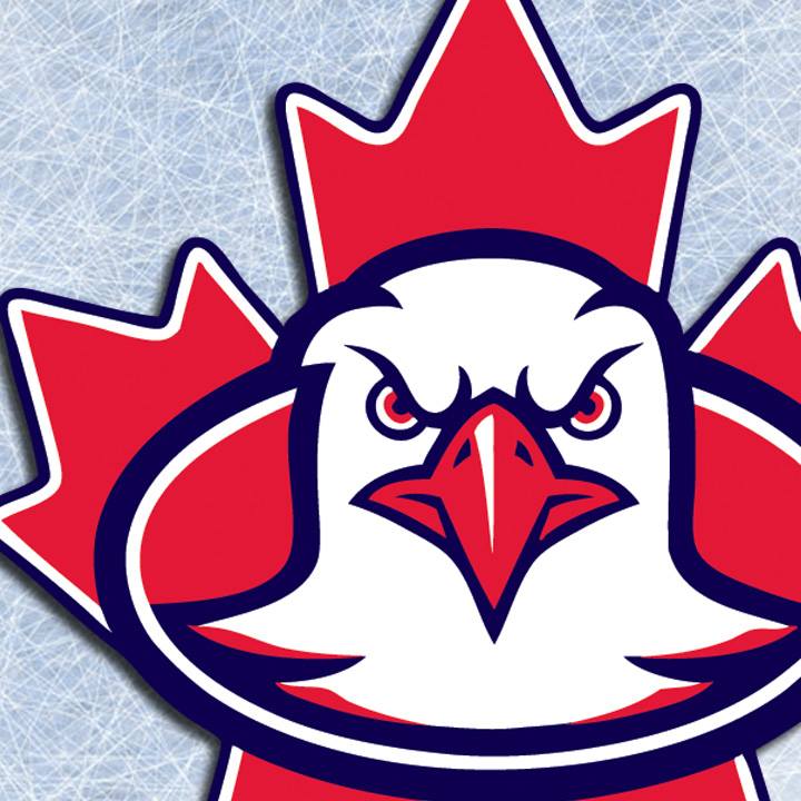Team USeh Hockey