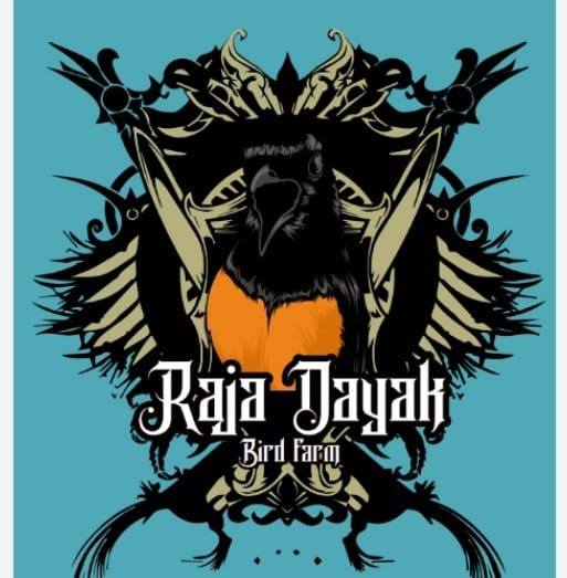 Raja Dayak BF