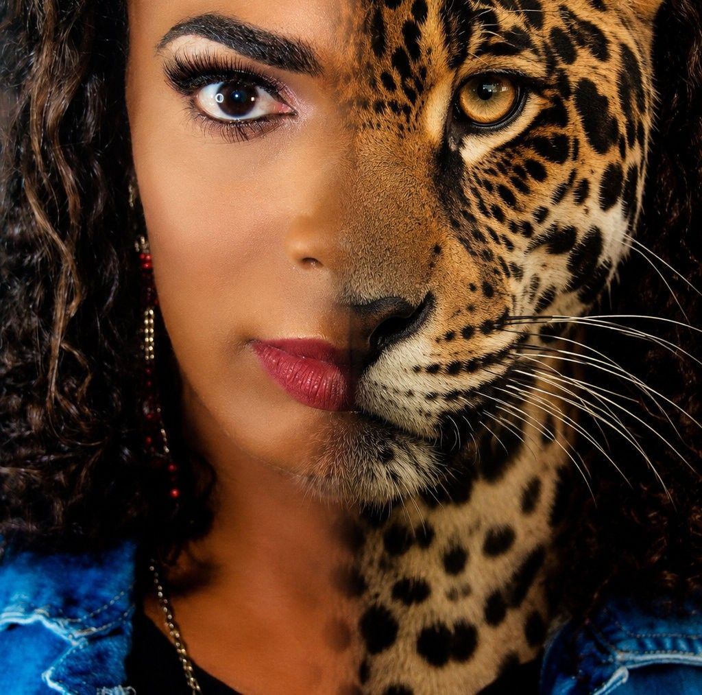 Moraes Transmodel