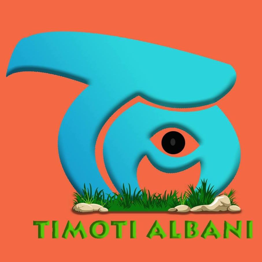 Timoti Albani Story