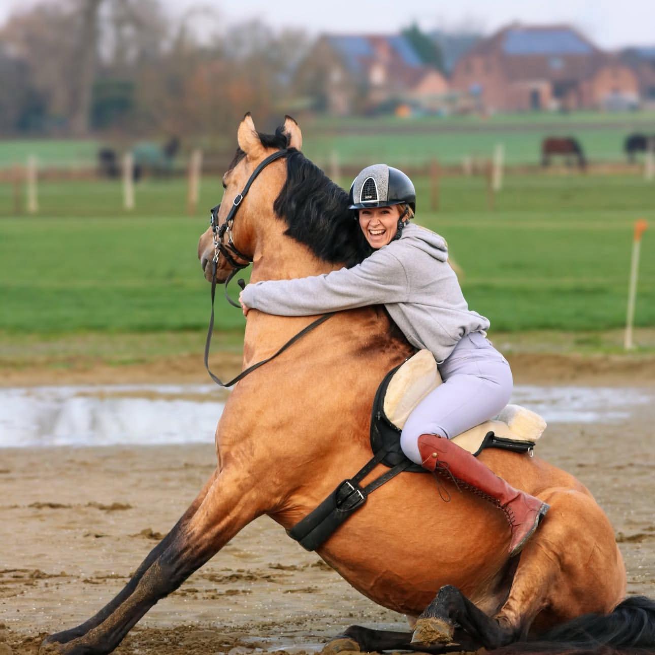 Cheap Horses for good homes | Facebook
