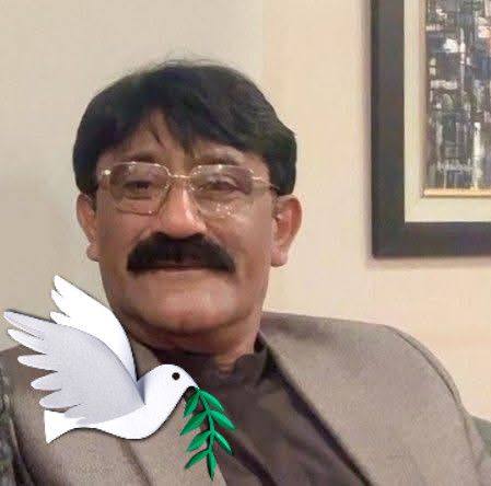 Zulfiqar Ali Shah Rizvi