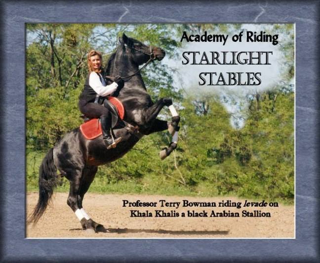 Academy of Riding - Starlight Stables | Liberty MO