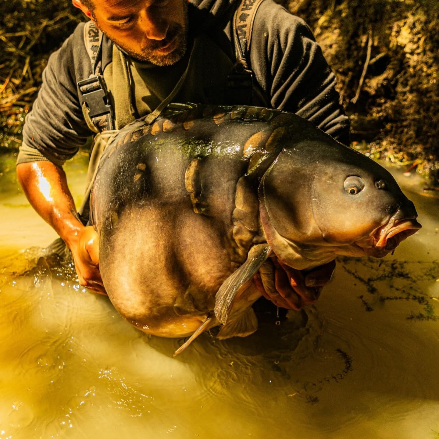 Piombo in Line #carpfishing #carplife #fishing | Roberto Vanacore ...