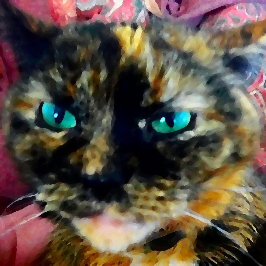 Deva the Cat