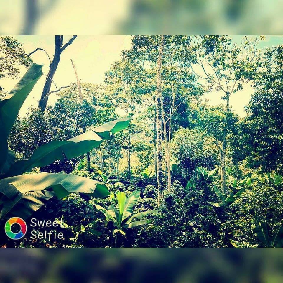 Finca Rivas