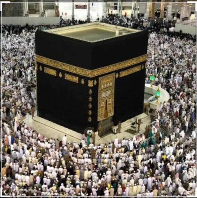 الرضا دواء القلوب.. | Amro Saed