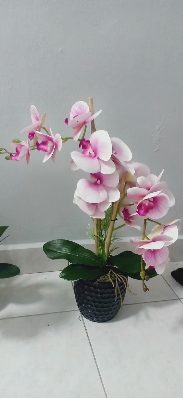 Reka Cipta Kreatif Deco & Design | Shah Alam