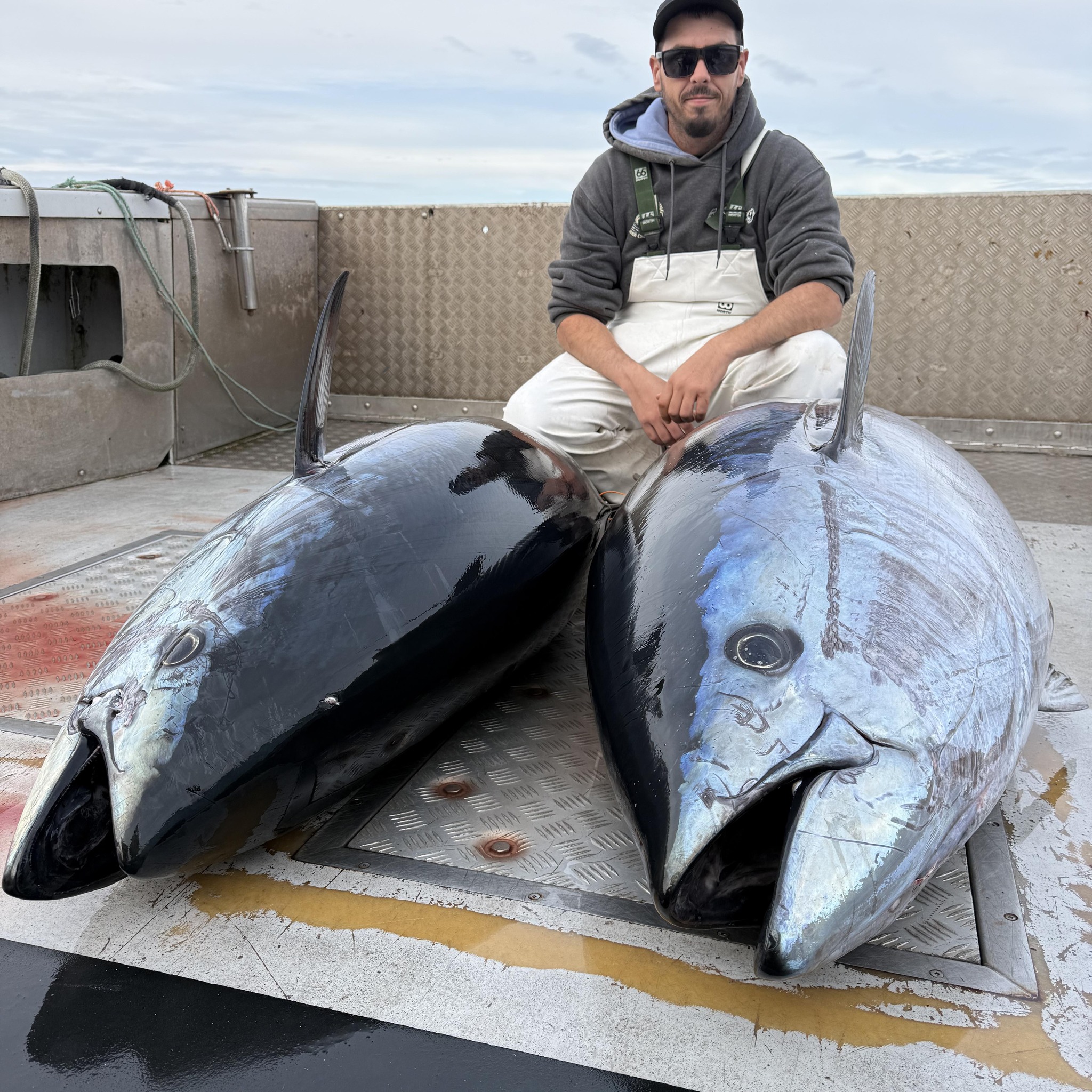 Forever young deep sea cod, and shark fishing charters