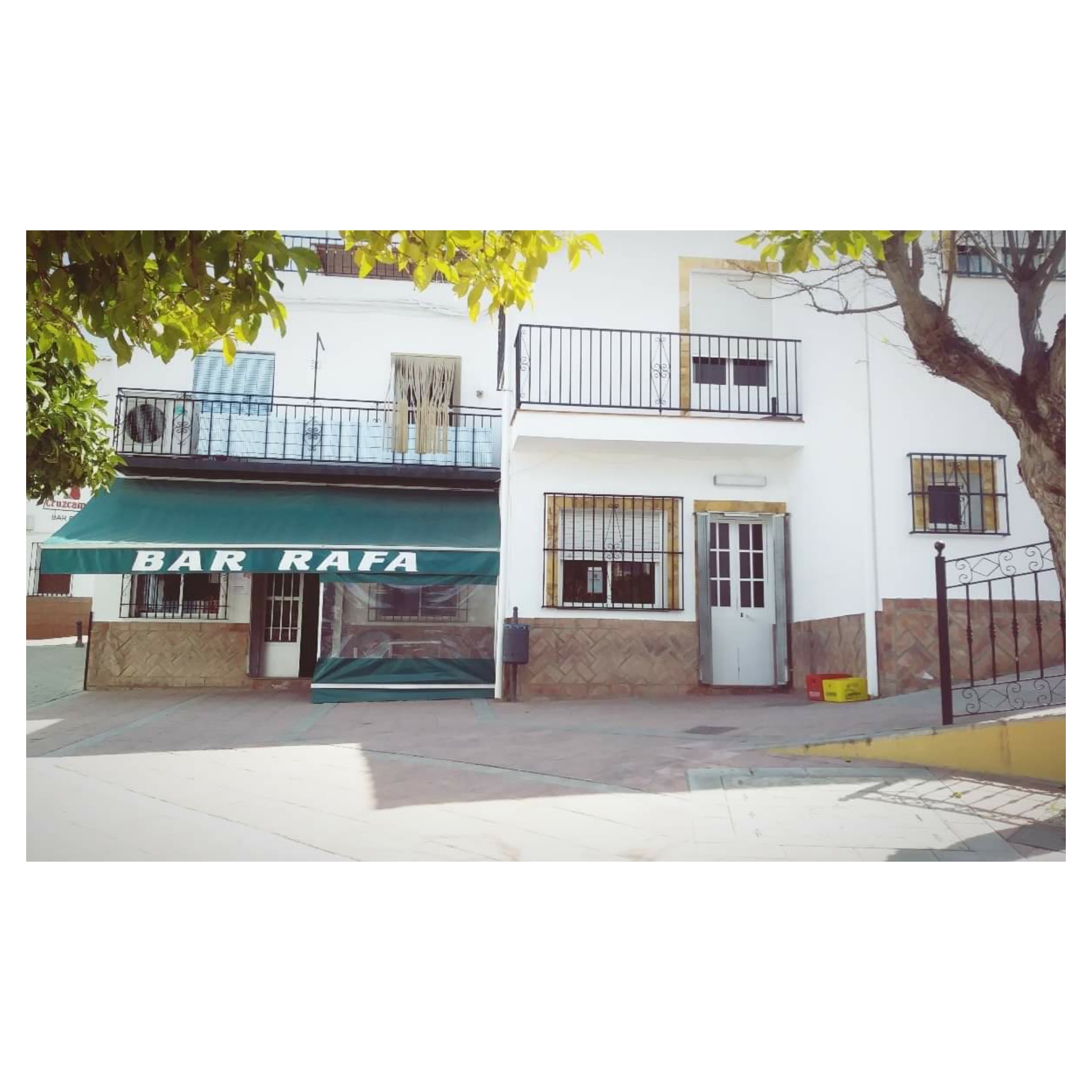 Bar Rafa
