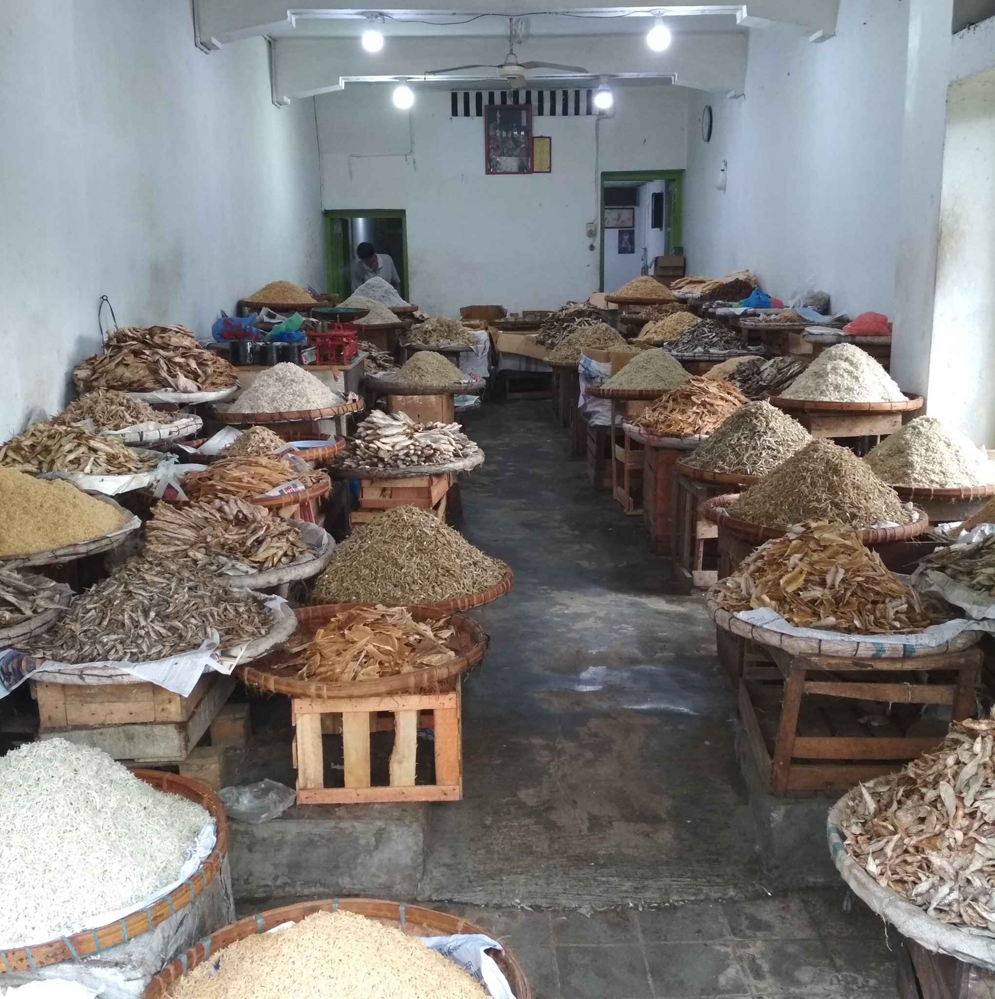 GRUP PD.IKAN ASIN JABODETABEK &BANTEN | Teri kopek putih cantik, Kering ...