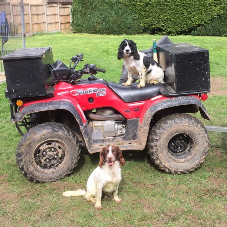 Every gamekeepers dream