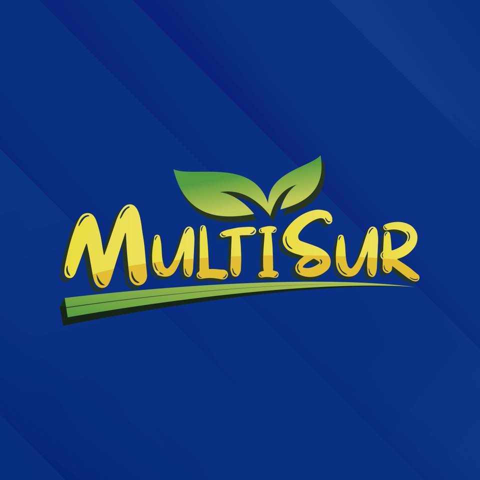 Multisur Market | Valdivia