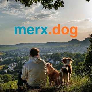 Teamwork Hund Mensch | Wüstenrot