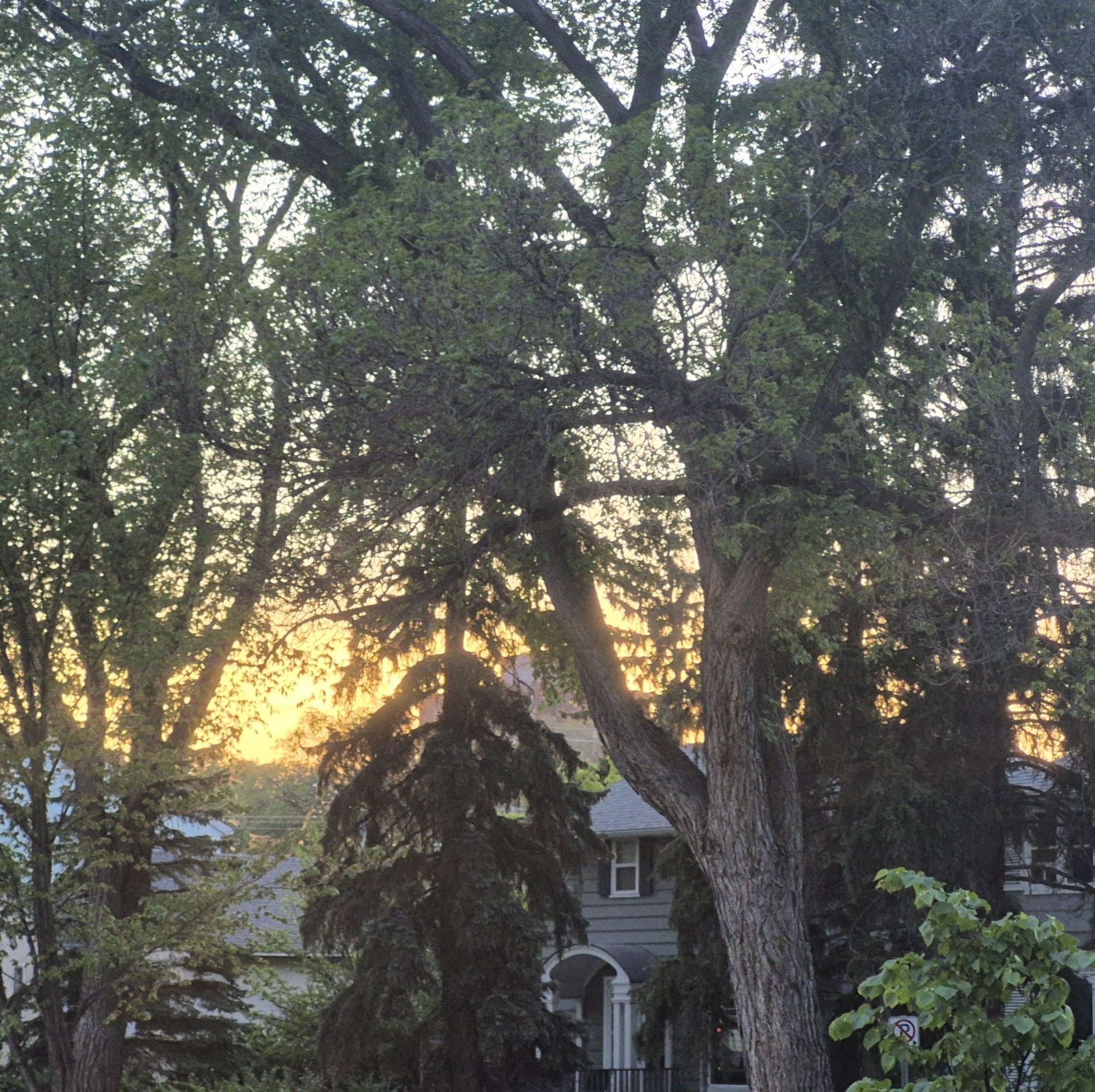 A & R Landscape inc. | Another amazing Day of Progress on the last ...