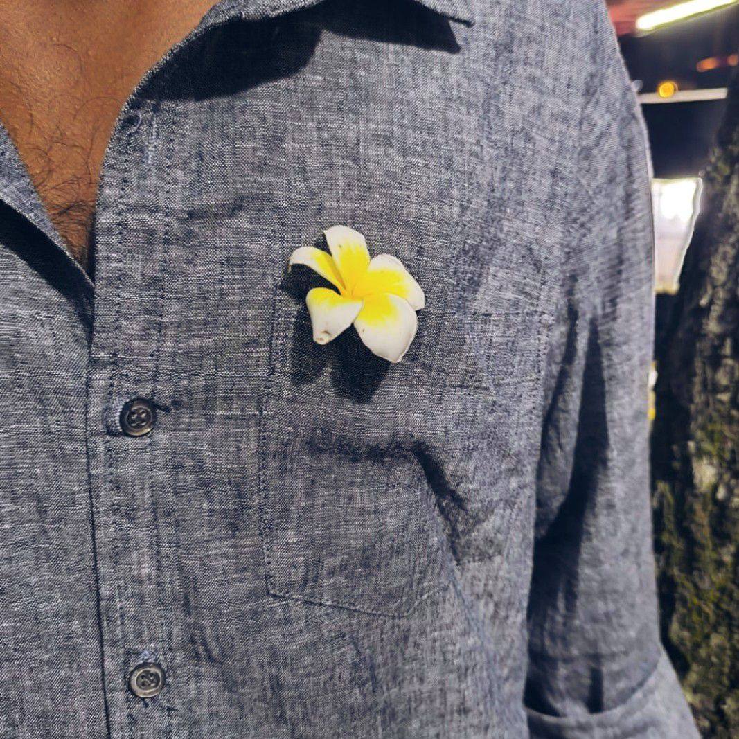 Hridoy Robi Das