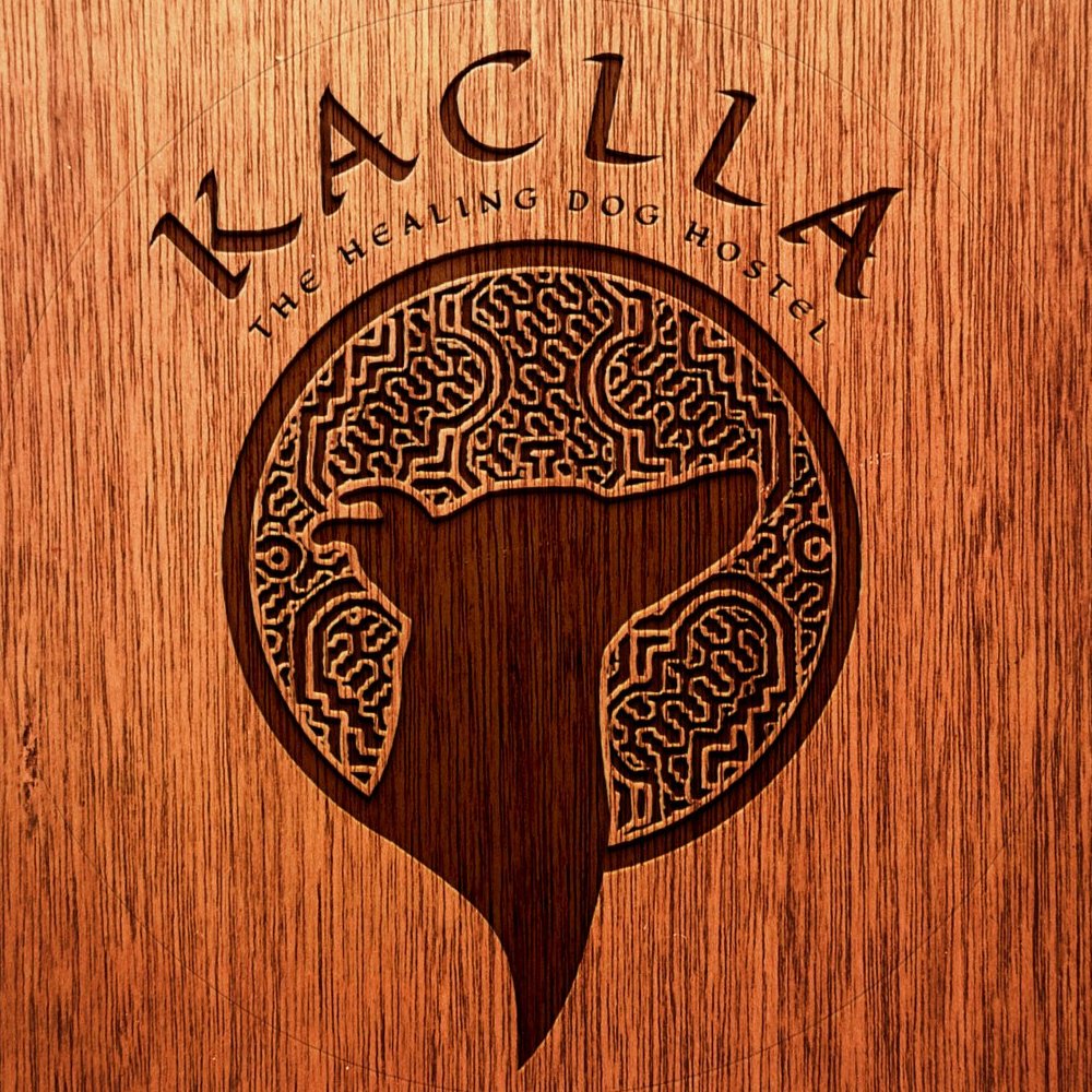 Kaclla, The Healing Dog Hostel 4