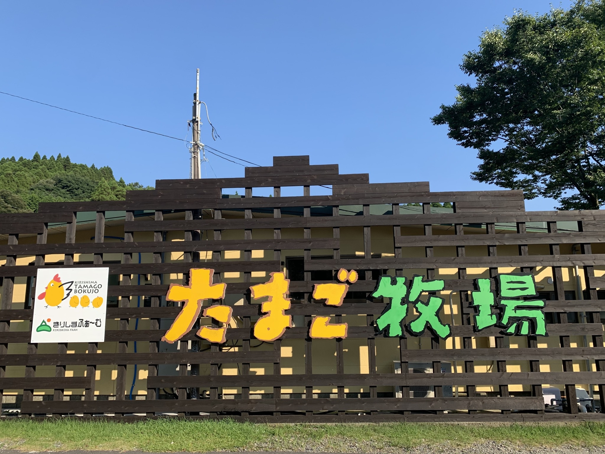 当時のメディア報道・掲載写真