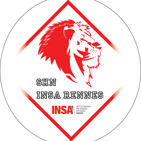 Section Sportifs de Haut Niveau INSA Rennes | Rennes