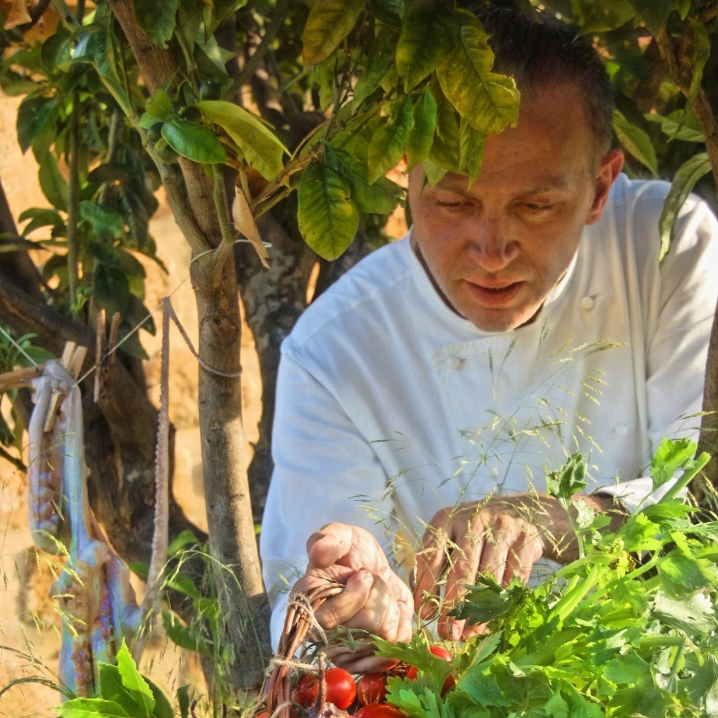 Chef Salvatore Gambuzza