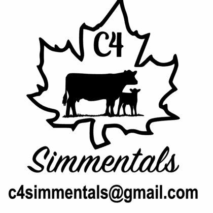 C4 Simmentals