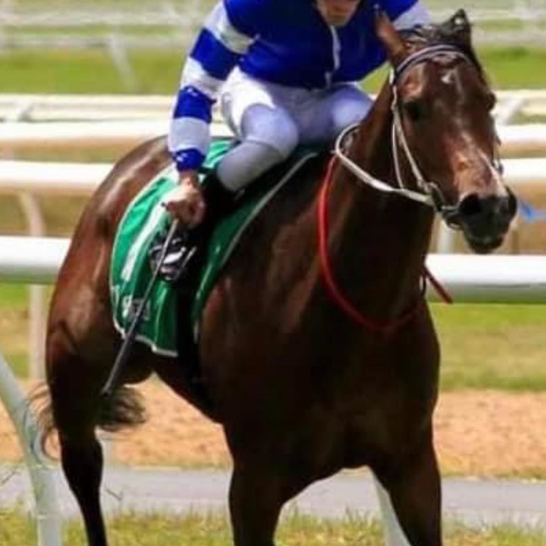 Gordon Richards & Damien Moyle Racing - an Owner Insights Page ...