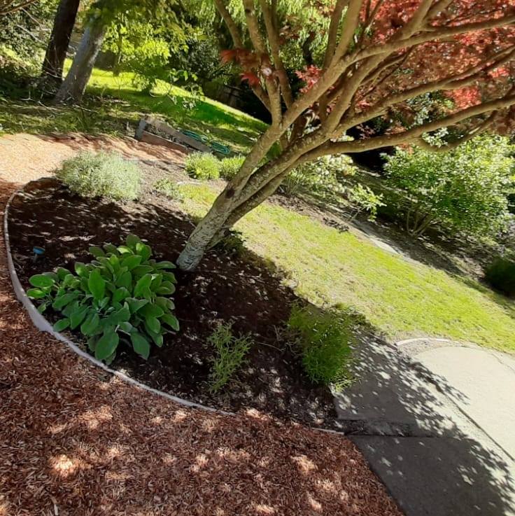Precision Yard Maintenance | Santa Rosa CA