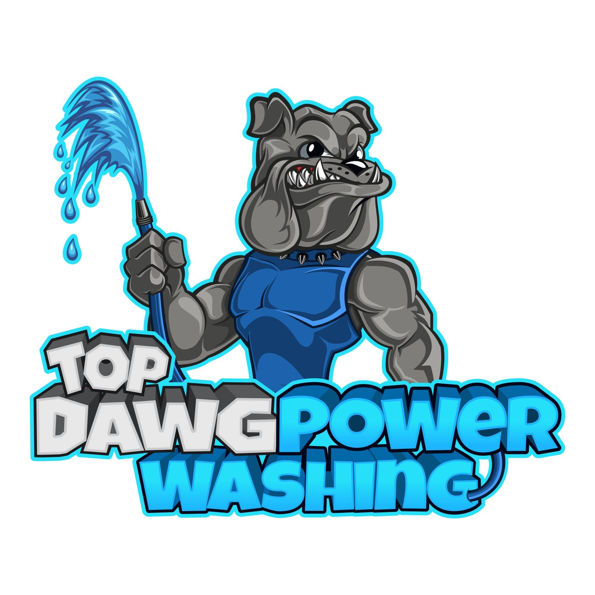 Top Dawg Power Washing34513545