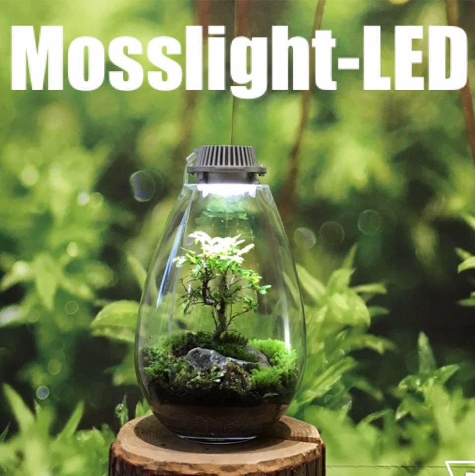 Mosslight-LED (@mosslight1955) • Facebook